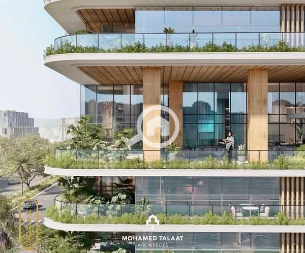 6 508756861_122148657026396007_7713233032008605521_n. jpg