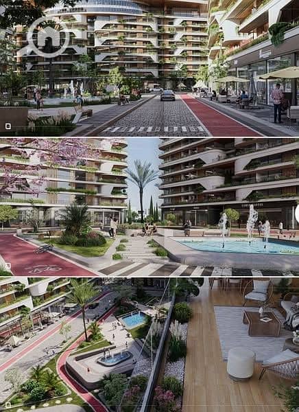 8 508973214_122148656978396007_5735083281647924733_n. jpg