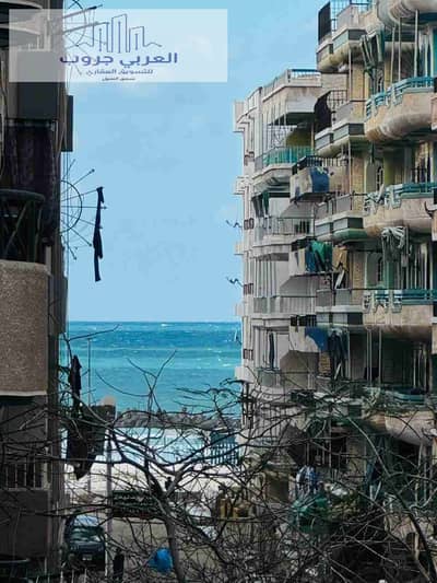 2 Bedroom Apartment for Sale in Nakheel, Alexandria - 1000343521. jpg