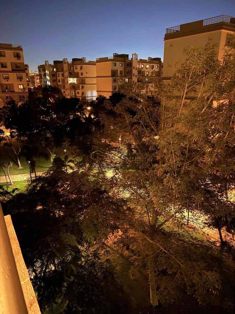 13 54692ac6-8c14-4911-9ef8-1f76bdc9ab0f. jpg