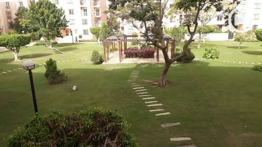 3 Bedroom Flat for Rent in New Cairo, Cairo - 4009cbb5-cad1-46ad-a82e-1c07946a3cd3. jpg