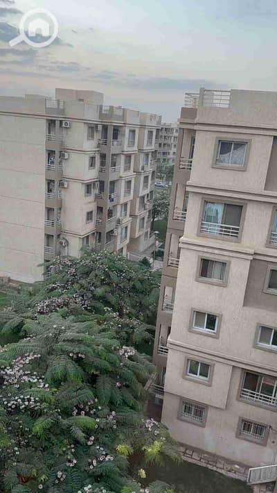 3 Bedroom Apartment for Sale in Madinaty, Cairo - IMG-20251214-WA0021. jpg