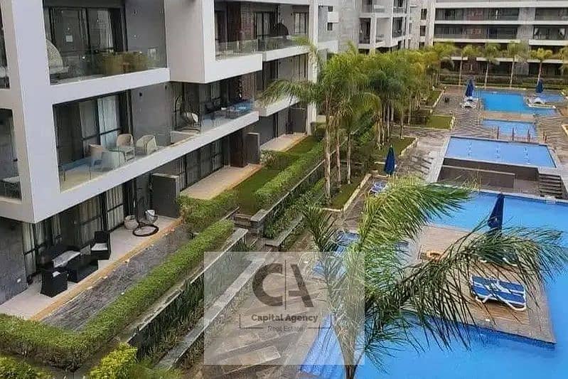 3 157998067-800x600. jpg