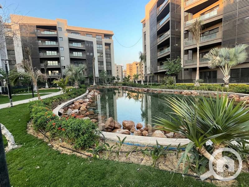 15 515906146_1449662452777732_5096684344816303135_n. jpg