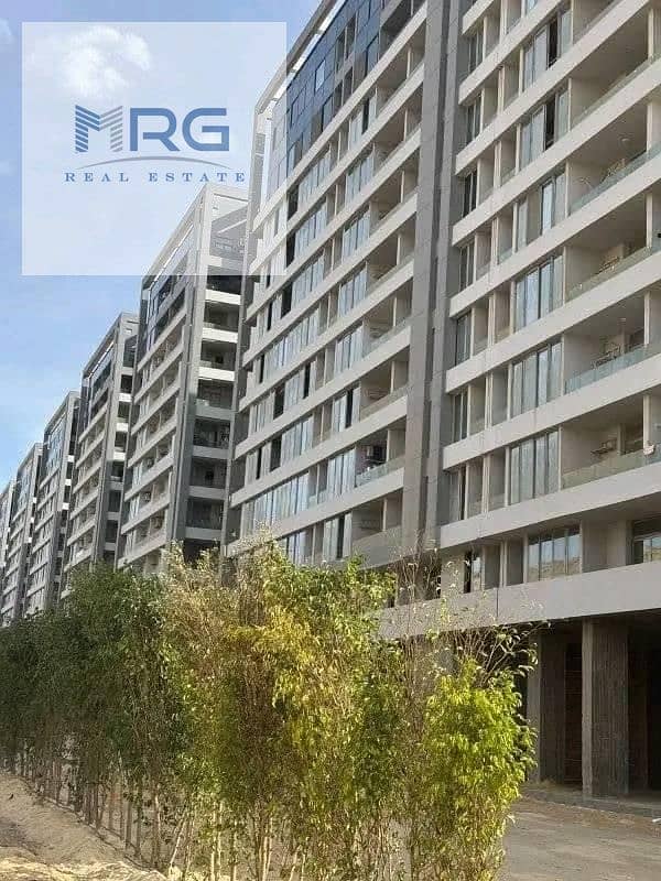 7 598151128_122153235122929967_4184766162386548692_n. jpg