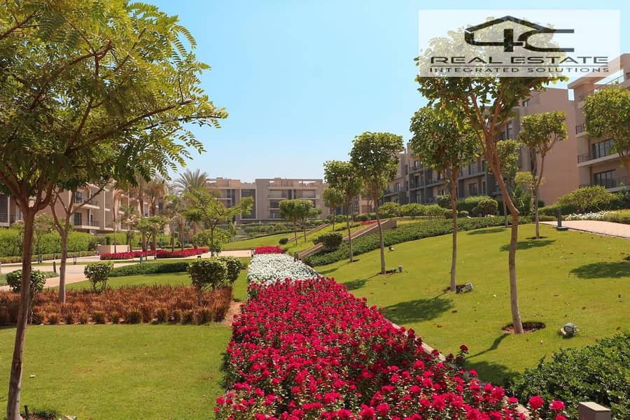 7 99c86579-e395-4fa5-9313-b6ccea3ed5e9. jpg