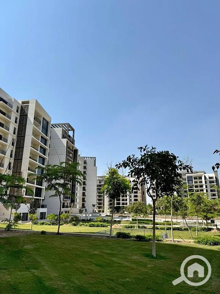 12 531801941_1323182839470070_8617940520547225504_n. jpg