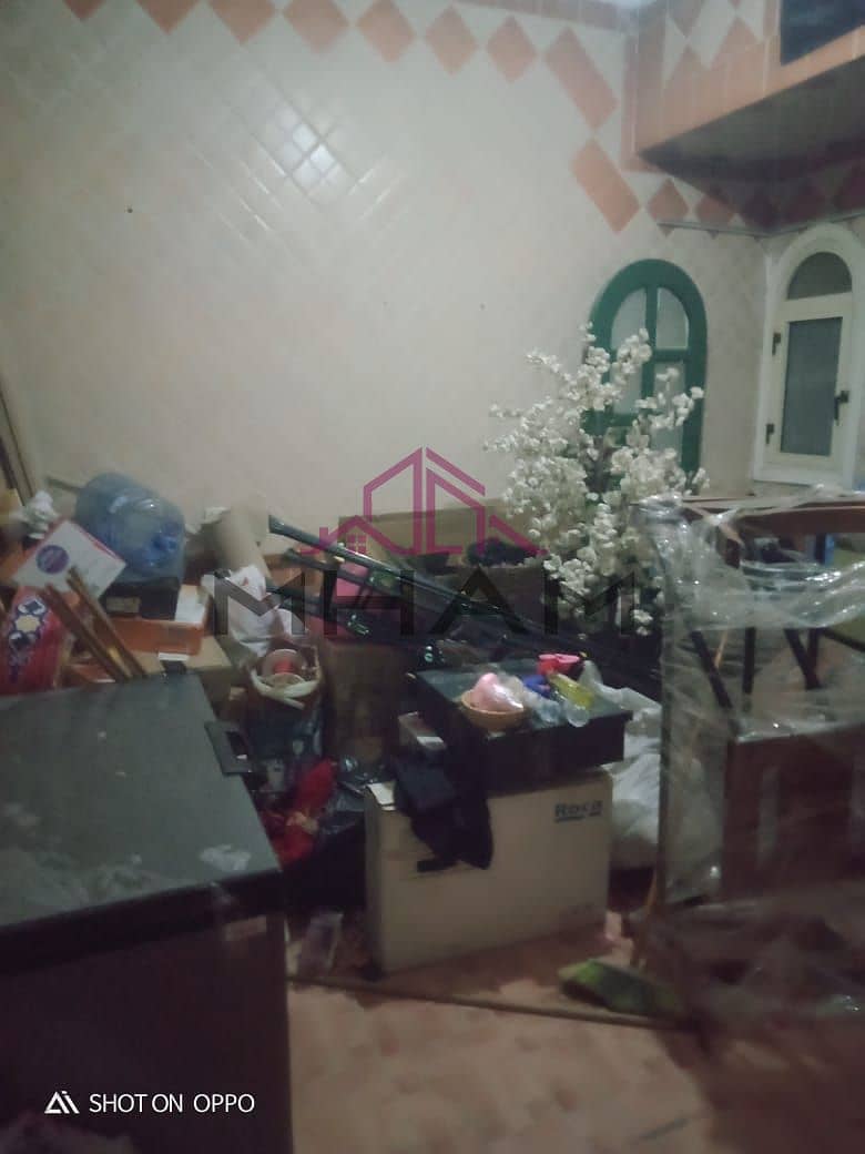 5 5929434014534011945. jpg