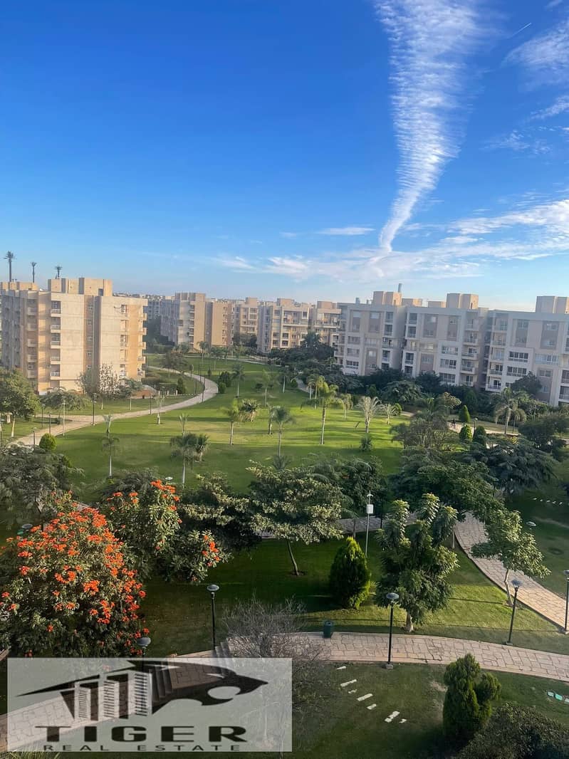 4 603813233_1589597972196140_2328988881028212535_n. jpg