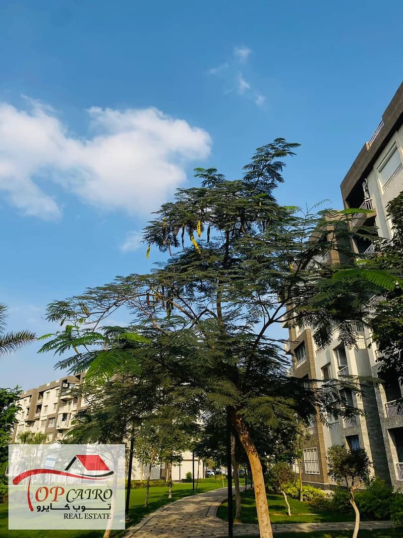 14 IMG-20251111-WA0318. jpg