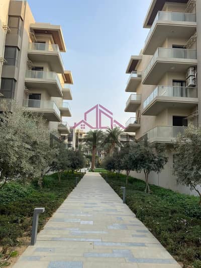 3 Bedroom Flat for Rent in New Cairo, Cairo - 5929434014534011929. jpg