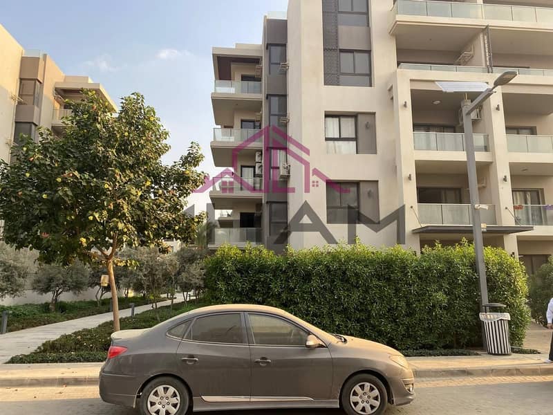 2 5929434014534011923. jpg