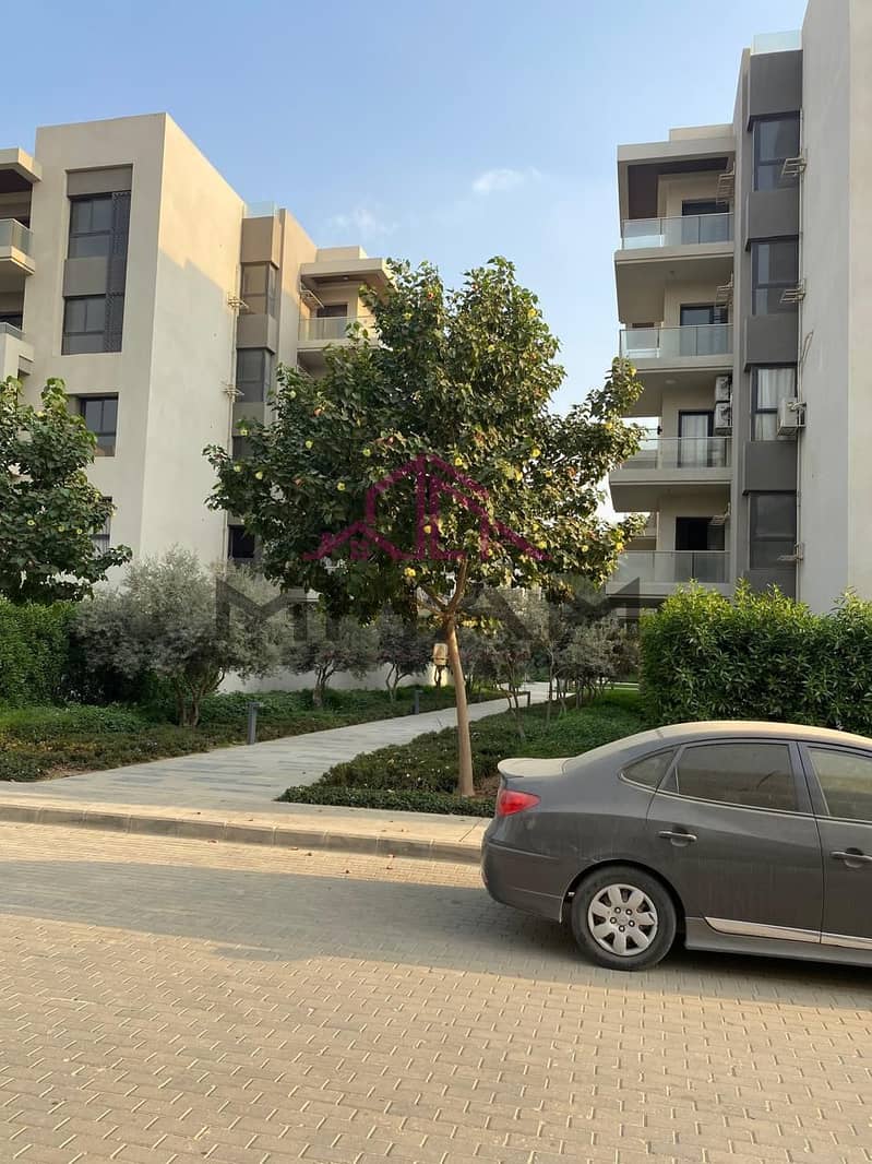 5 5929434014534011921. jpg