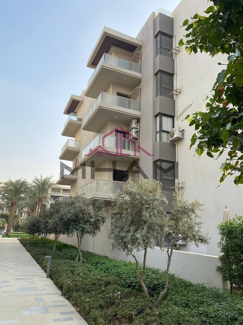 6 5929434014534011922. jpg