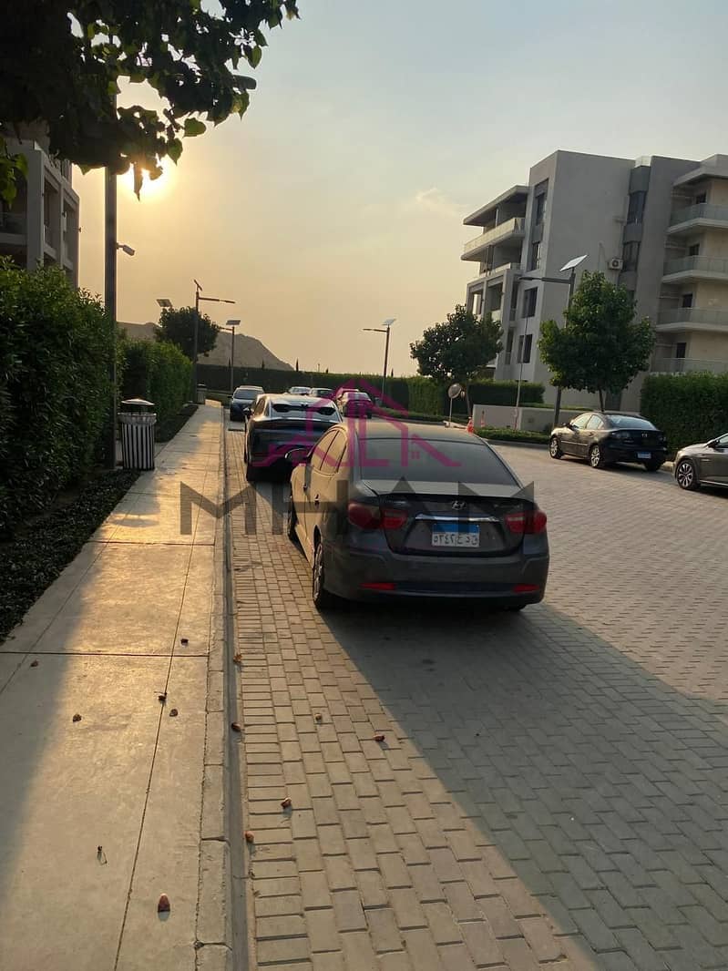 8 5929434014534011925. jpg