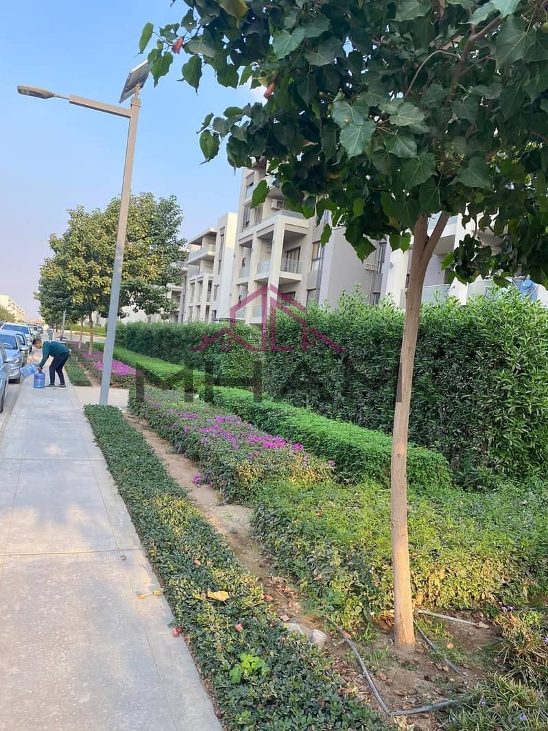 9 5929434014534011926. jpg