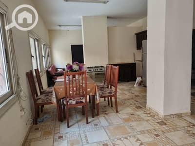 1 Bedroom Flat for Rent in New Cairo, Cairo - WhatsApp Image 2025-12-22 at 4.00. 43 AM. jpeg