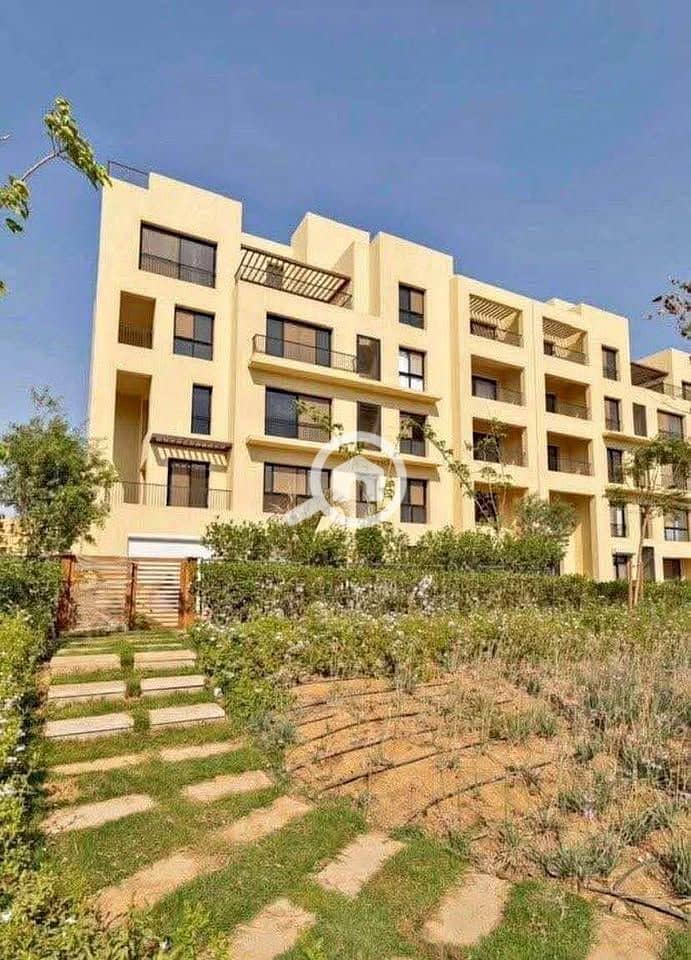 11 565330601_772730545596231_966148667905061466_n. jpg