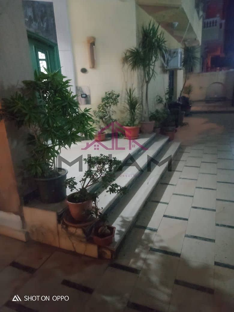 10 5929434014534011951. jpg