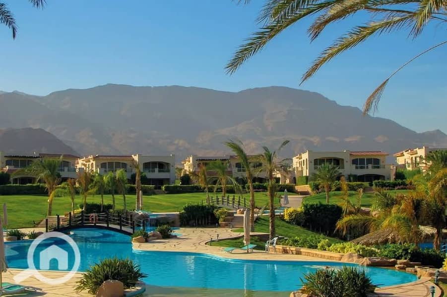 7 562993681_849308444300725_7818188045738021520_n. jpg