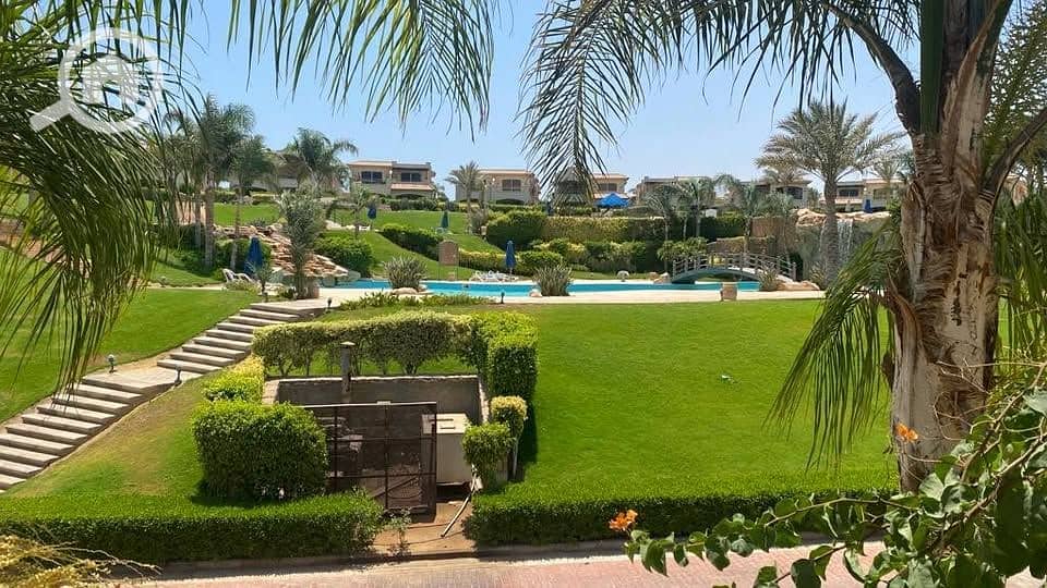 9 567515035_1318305103380996_5795963168857785502_n. jpg