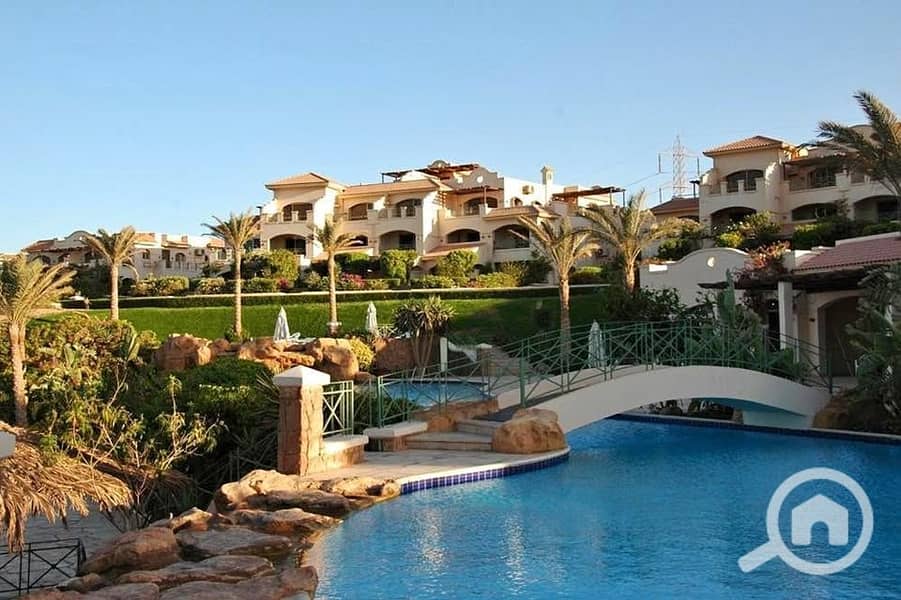 14 568695097_1447963182977508_8418855620464024020_n. jpg