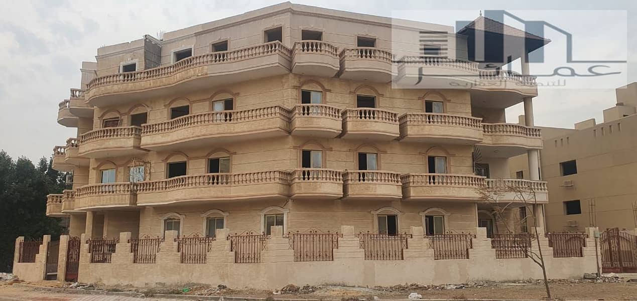 2 WhatsApp Image 2025-01-14 at 16.36. 26_bf3301f7. jpg