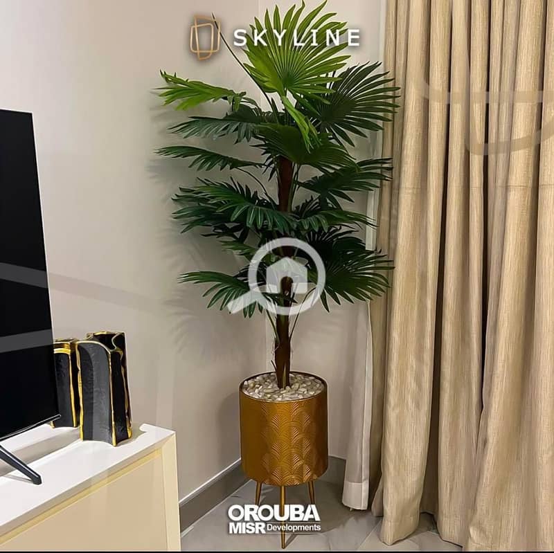 7 WhatsApp Image 2025-12-22 at 1.58. 08 PM (4). jpeg