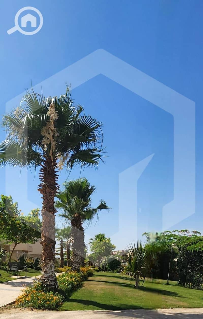 11 The Crown 11. jpg