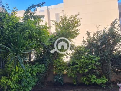 استوديو  للايجار في القاهرة الجديدة، القاهرة - WhatsApp Image 2025-12-22 at 12.55. 13 PM (3). jpeg