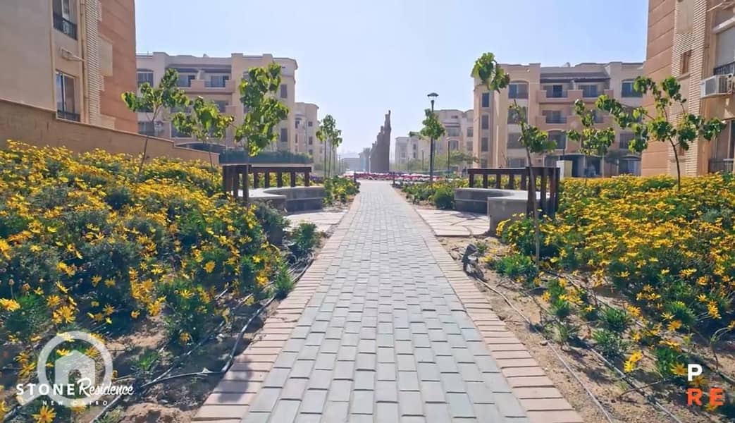 2 ستون                                               . jpg