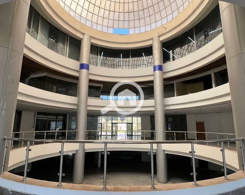 8 Generated Image September 23, 2025 - 2_06PM. png