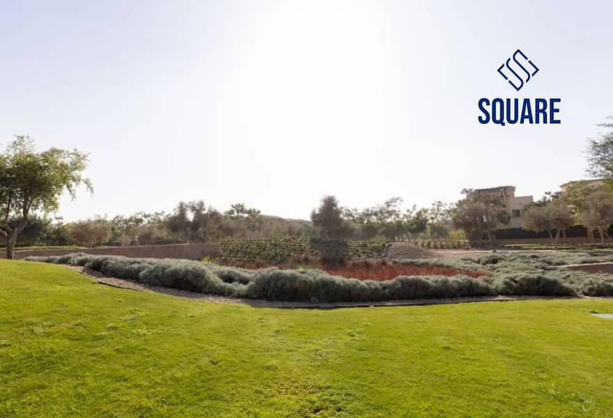 16 8398271-7fa5eo. jpg