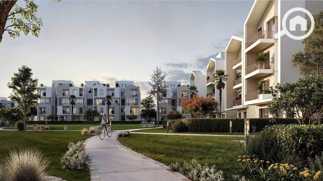 8 WhatsApp Image 2024-09-15 at 17.37. 36_380044db. jpg