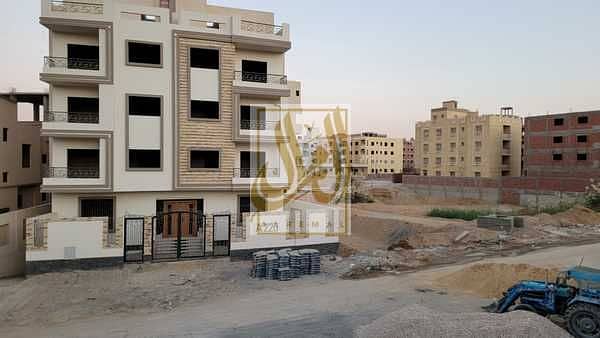 12 zS20XsEEN7S7teAyqf9Uq8K1jZXw7Y4WYiF4bGIK. jpeg