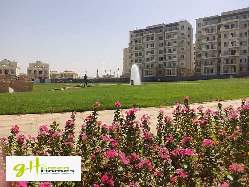 5 WhatsApp Image 2022-10-02 at 2.41. 55 PM. jpeg