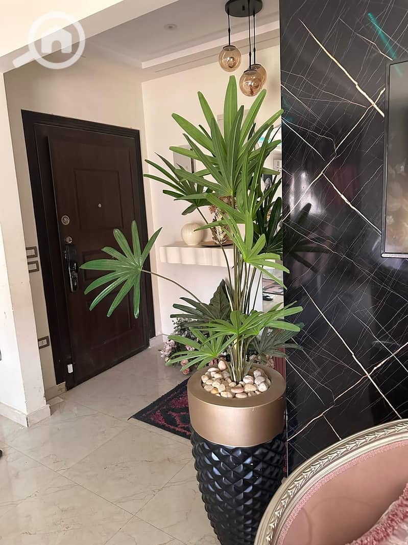 2 WhatsApp Image 2025-10-06 at 11.23. 33 AM. jpeg