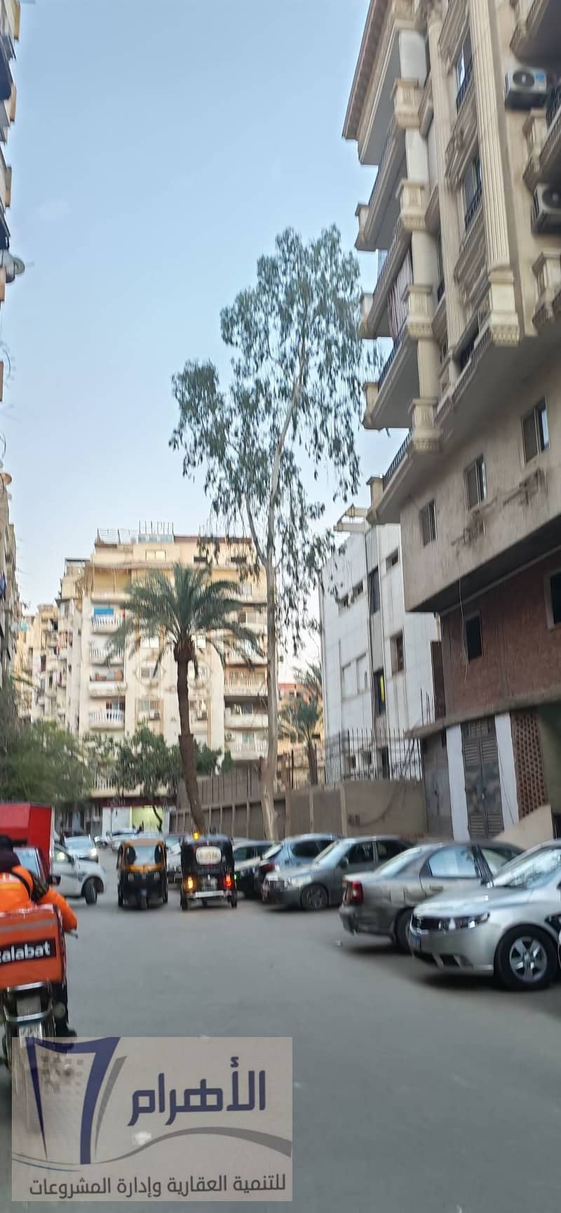 13 600432737_2643211002712776_1264334564047079956_n. jpg