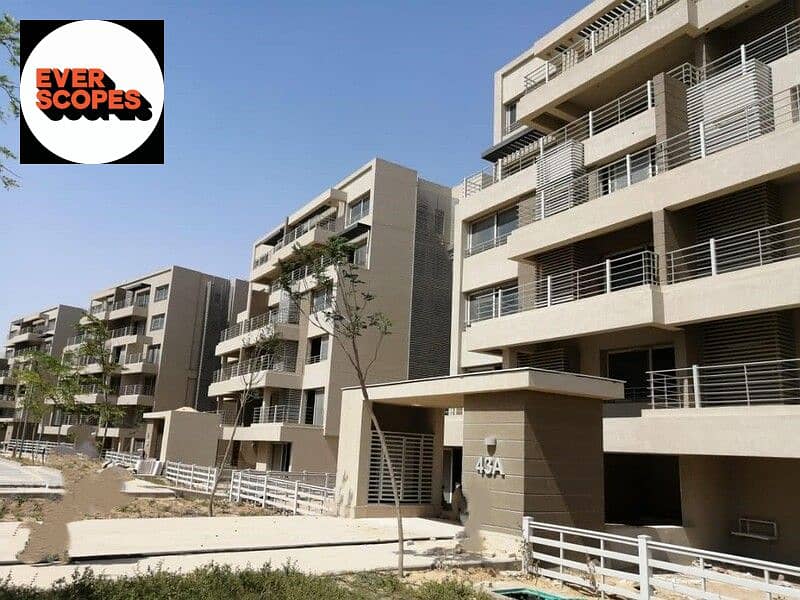 8 WhatsApp Image 2025-11-06 at 15.12. 34_7606babf. jpg