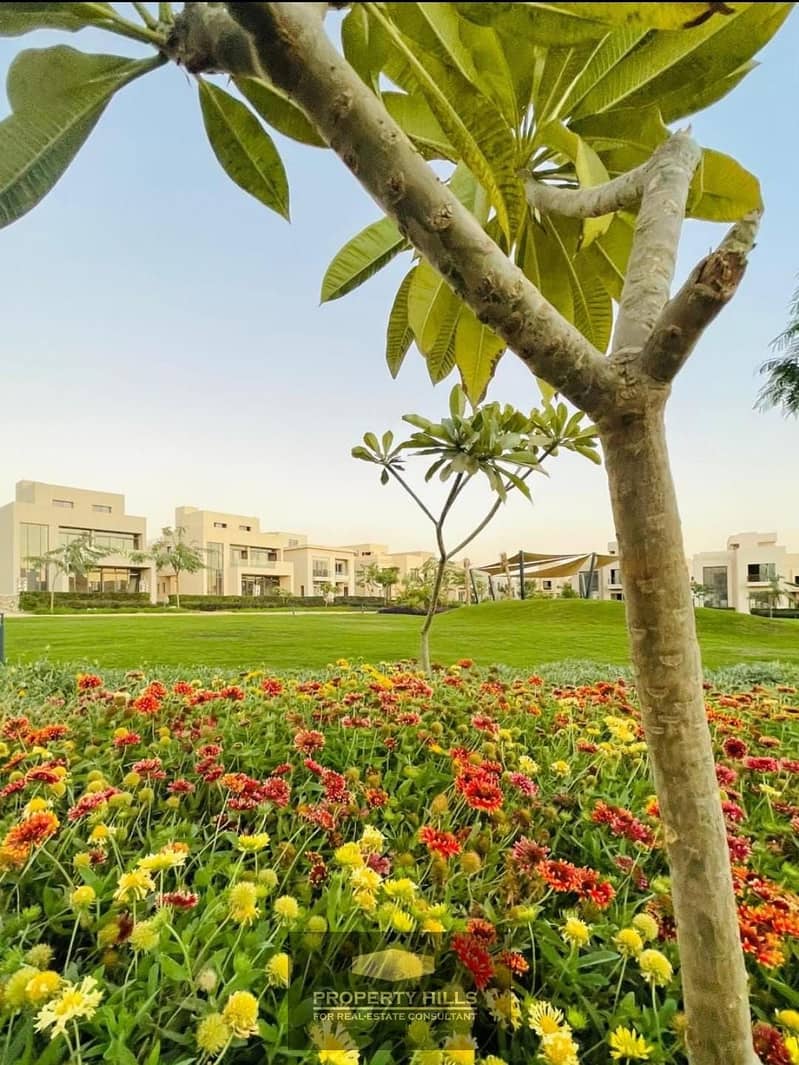 15 3eb094b8-7a3f-4c53-8044-92cca66d75e3. jpeg