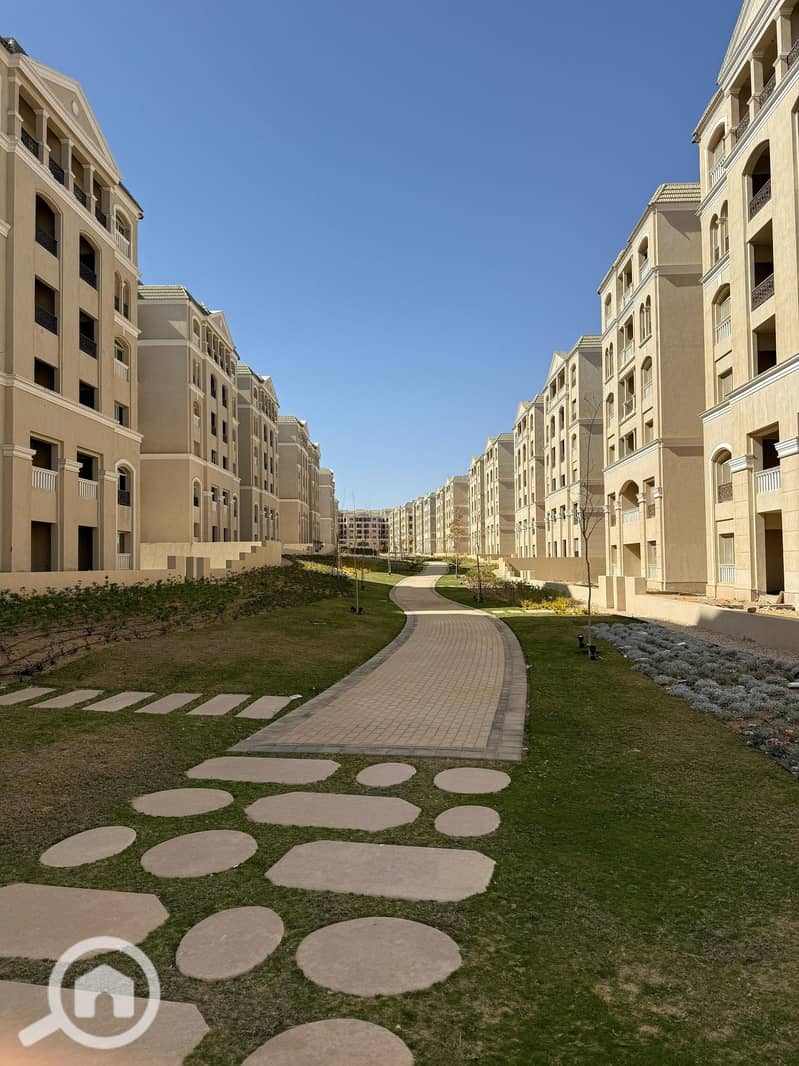 4 490242432_10161509981641409_3287936122337815834_n. jpg