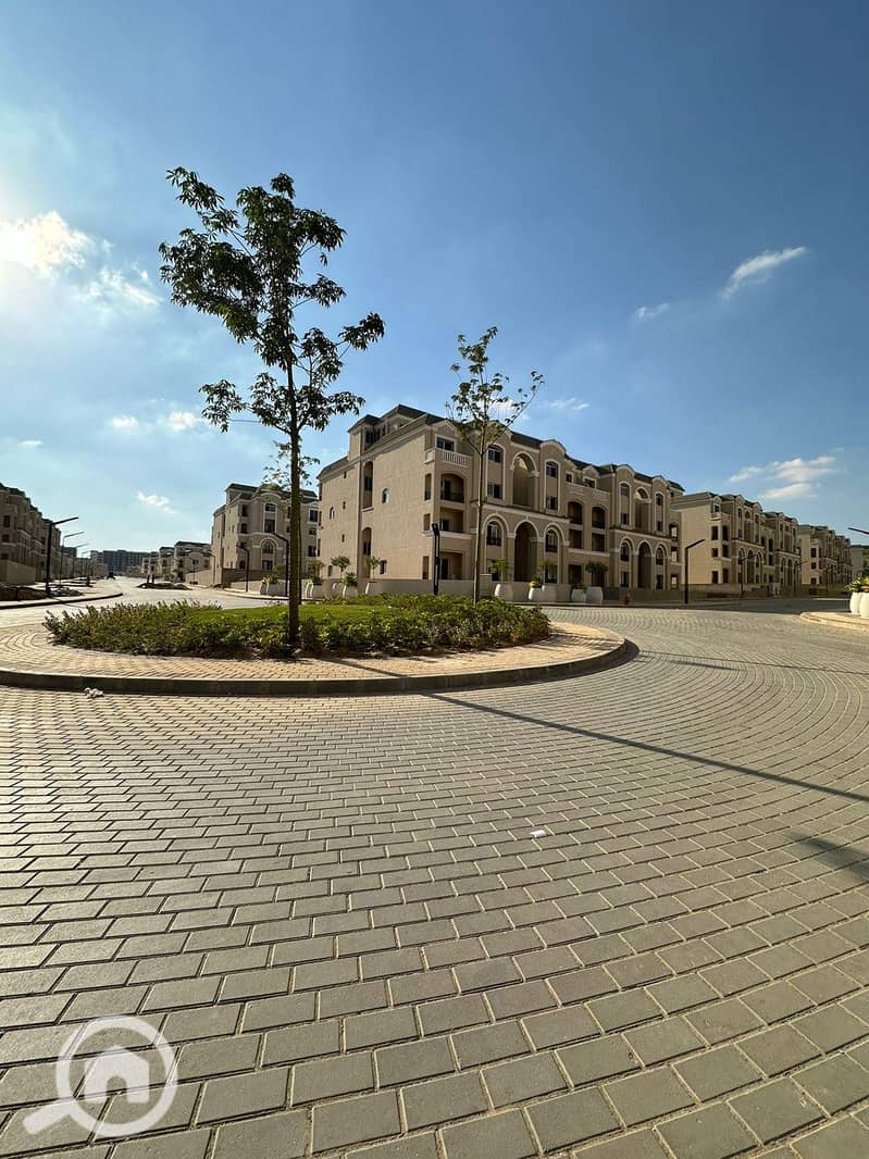 3 526442998_1453078835889087_570931933876989870_n. jpg