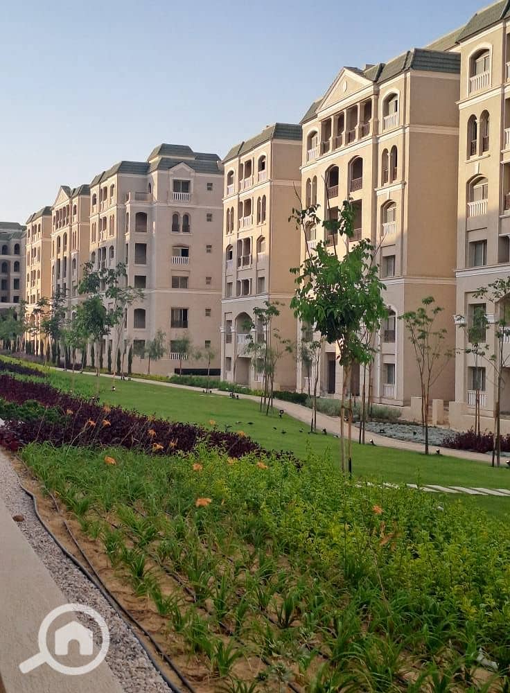 8 532793806_1935500063961817_8386816955405196516_n. jpg