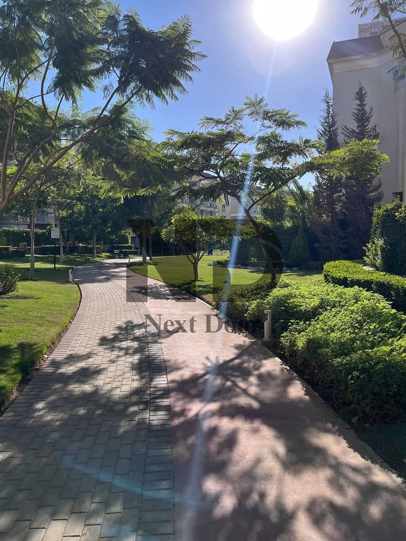 12 574571708_24861143623555233_8493397269654183165_n. jpg