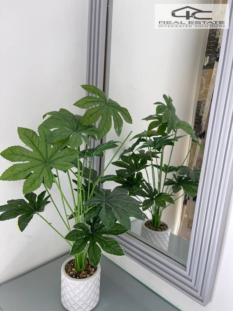 10 WhatsApp Image 2025-12-20 at 1.30. 57 AM (1). jpeg