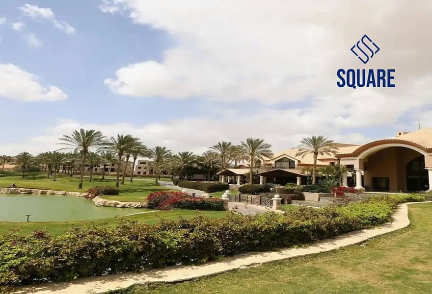 12 8443957-c6f26o. jpg