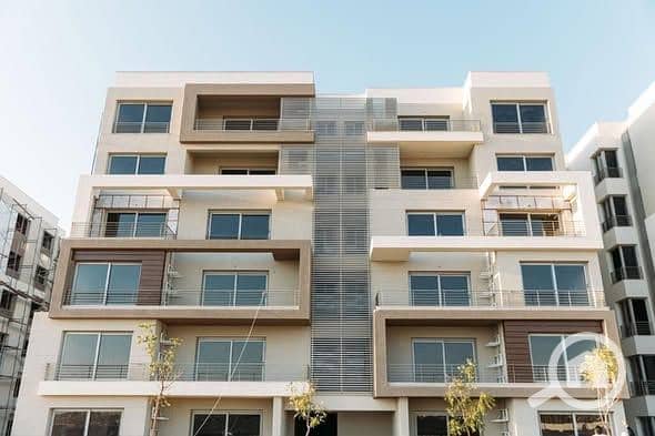 6 584542136_10230918382449125_1563522465435430364_n. jpg