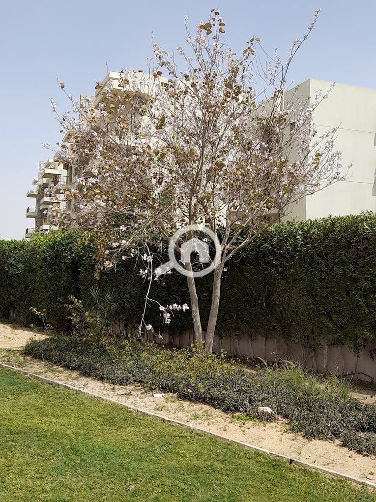 10 20210324_123215. jpg