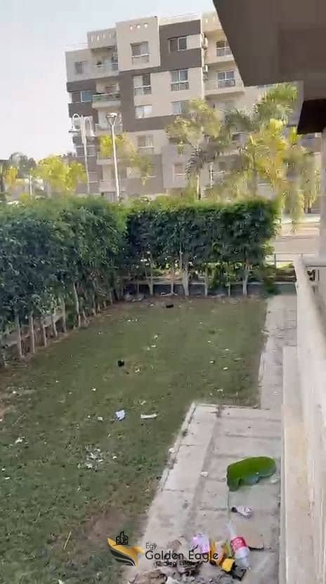 12 602381771_1537823850781475_1082938622932887808_n. jpg