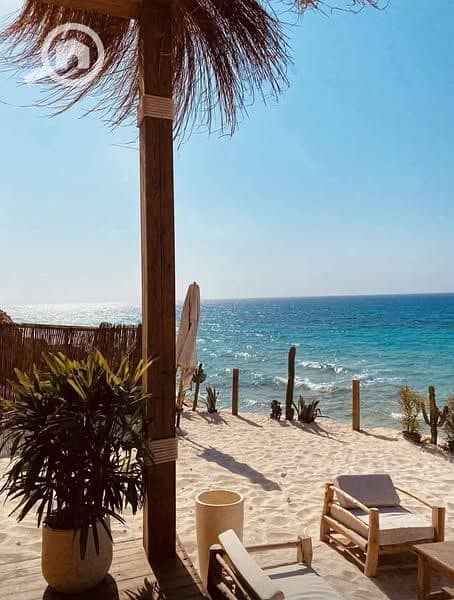 8 475273166_945583457640482_7641373342208414507_n. jpg